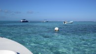 From great snorkeling and diving to blood-pumping jungle hiking to ancient Mayan sites and ruins, the little Central American country of Belize packs in a wealth of exciting and memorable...