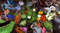 World food prices rose to an all-time high last month, according to the UN Food and Agriculture Organization (FAO).  Oxfam warns another food crisis could strike in a matter of...