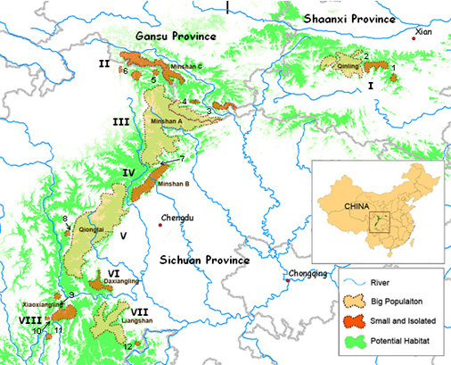 Giant Panda Population Chart